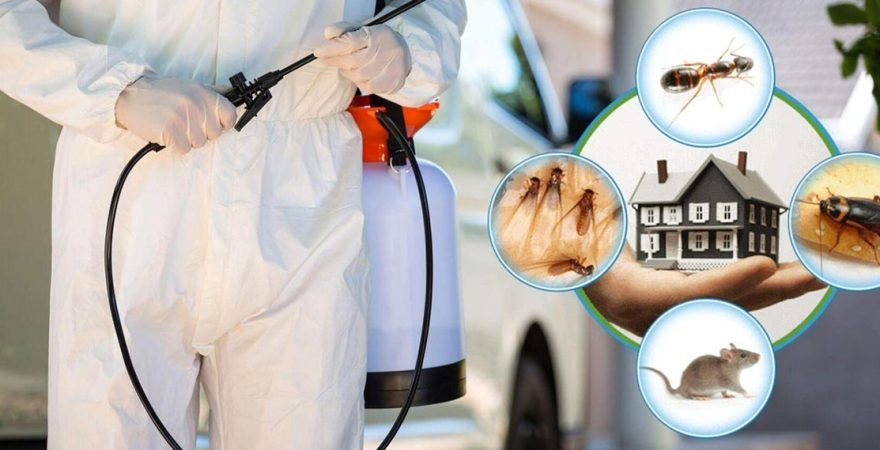 Didim Böcek İlaçlama