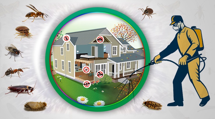 Didim Böcek İlaçlama