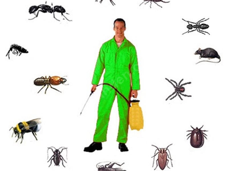 Didim Böcek İlaçlama